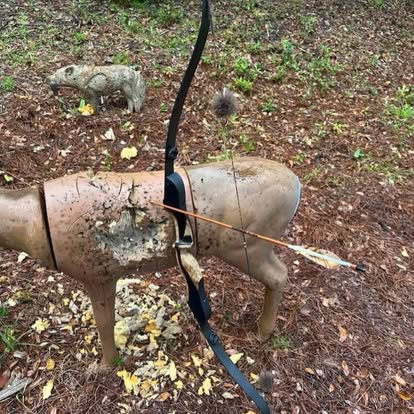Arrow pass-through on a 3D deer target